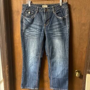 Earl Jeans Dark Blue Straight Leg Cropped Jeans